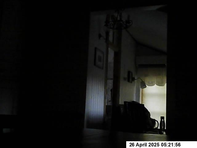 Slide 259