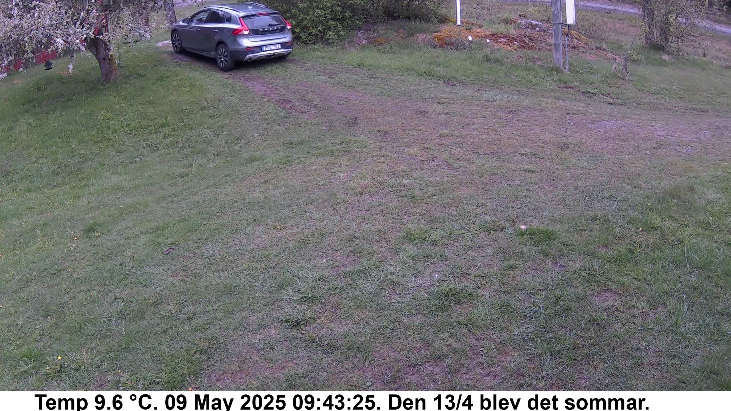 Slide 517