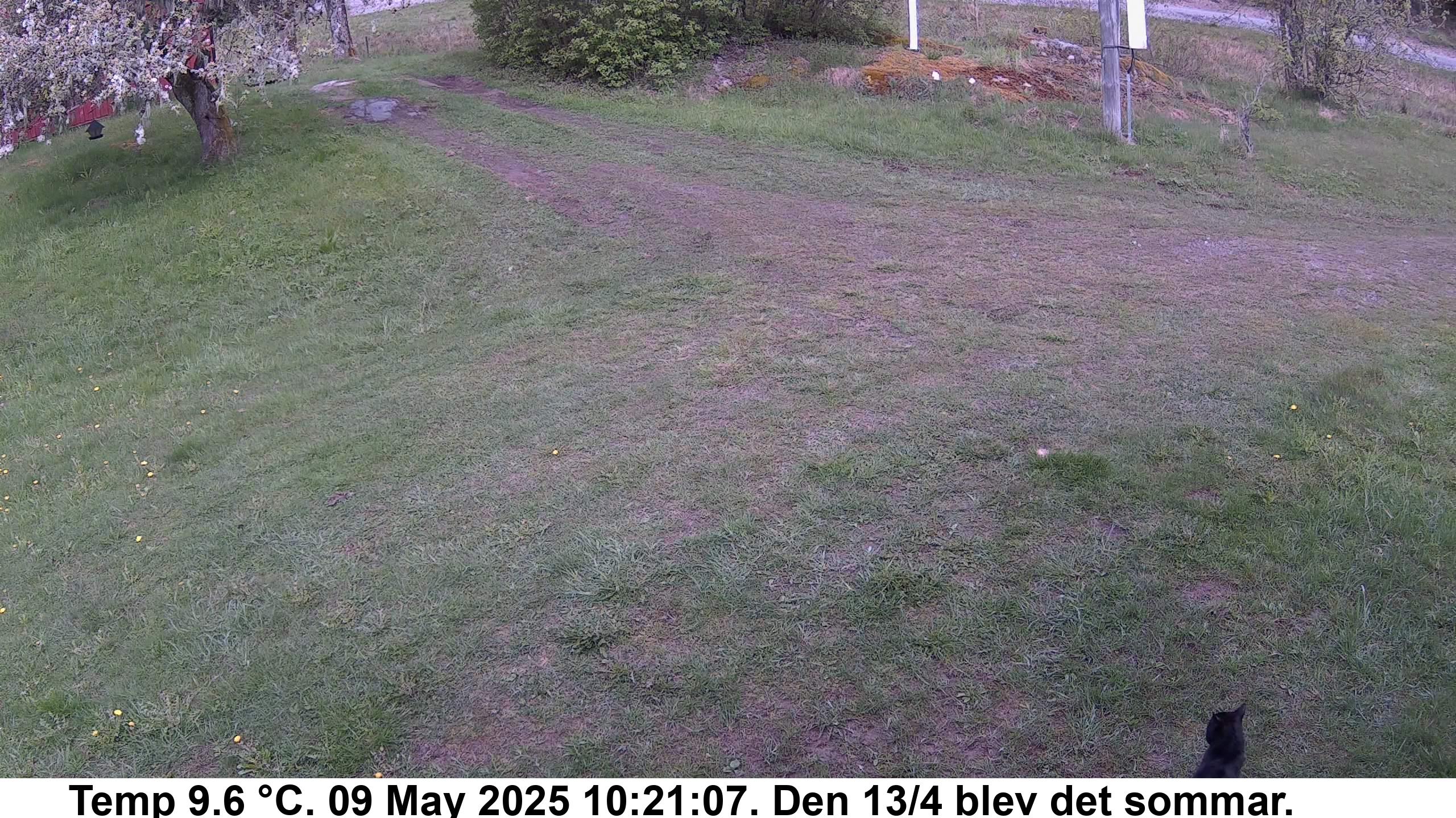 Slide 518