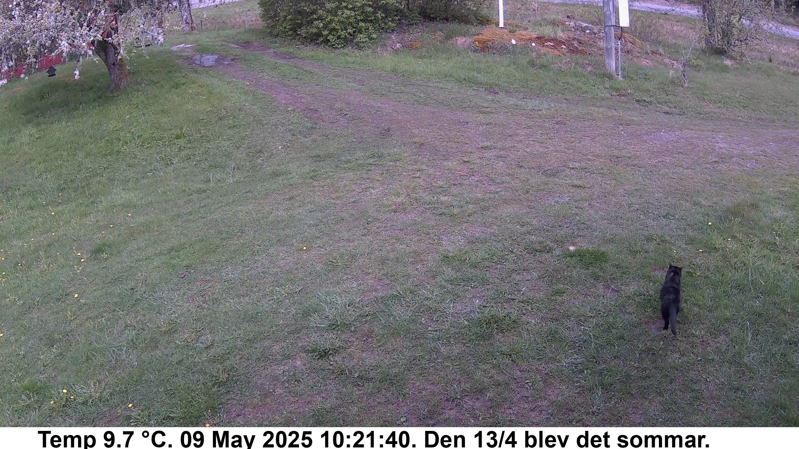 Slide 519