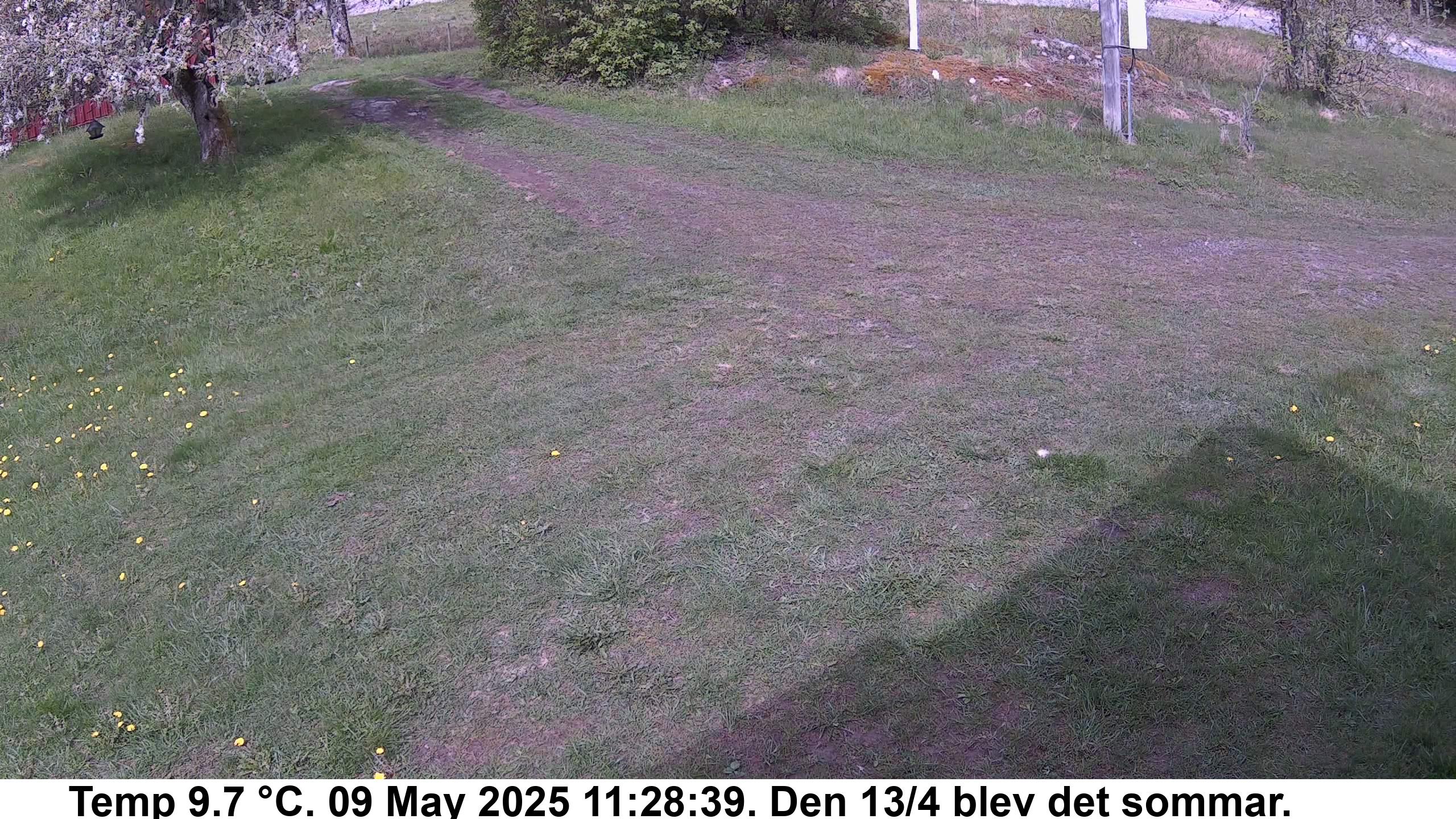 Slide 520