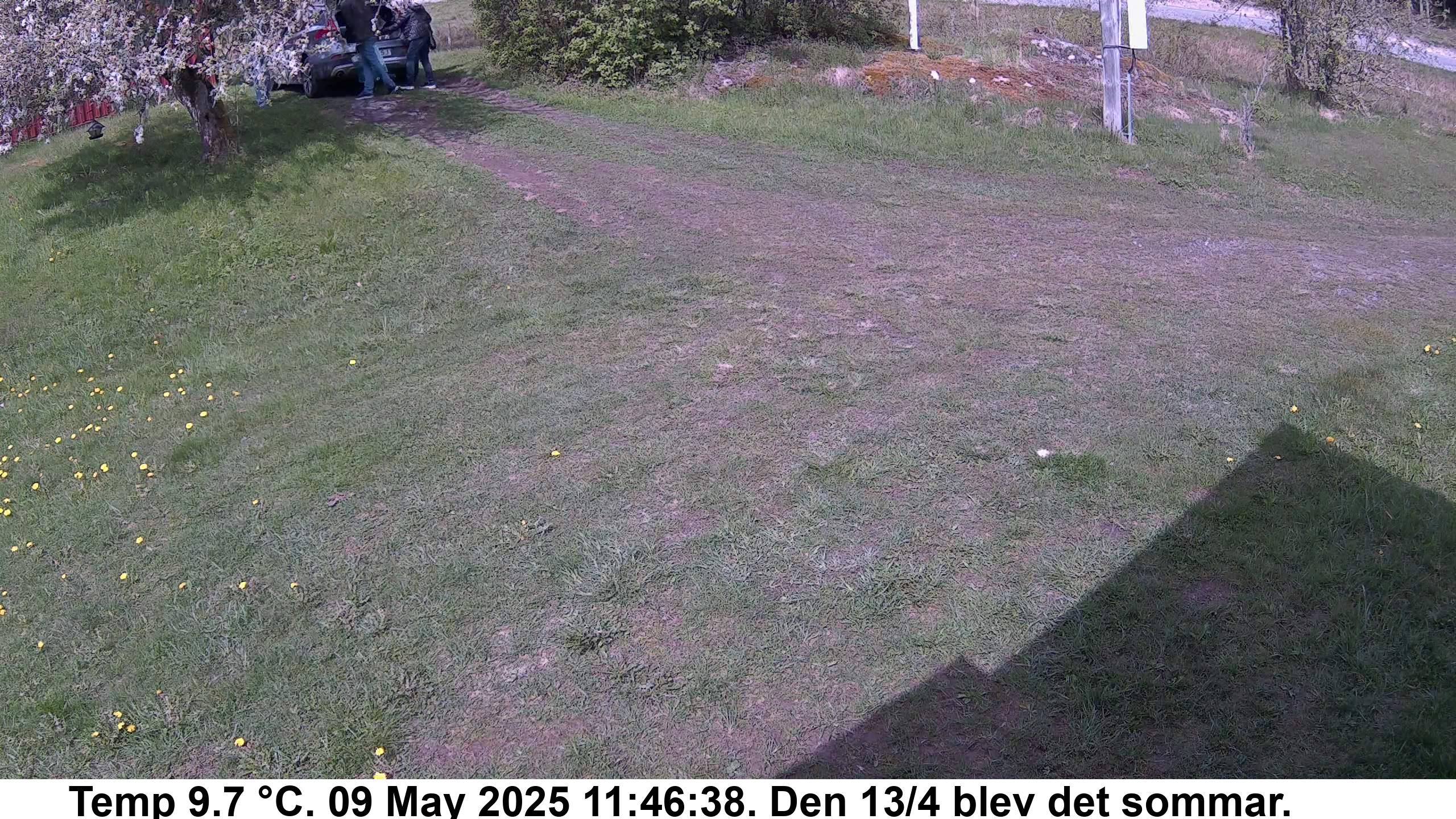 Slide 524
