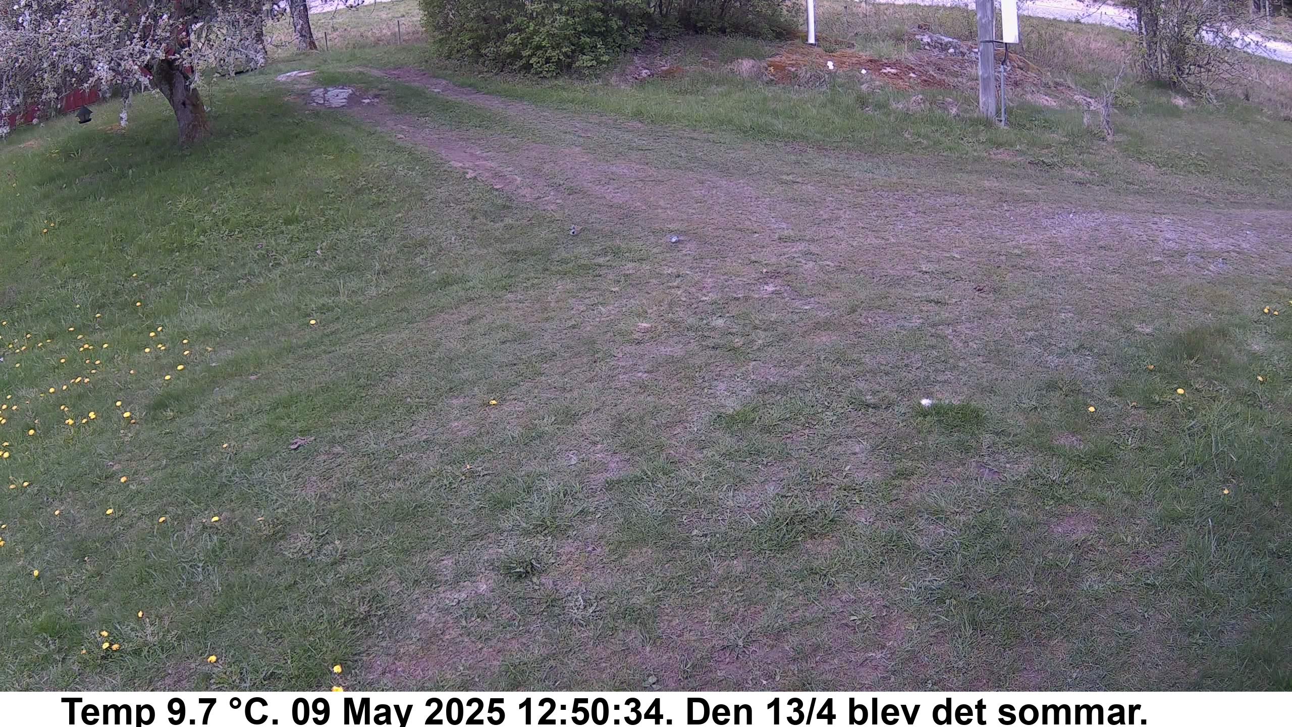 Slide 536