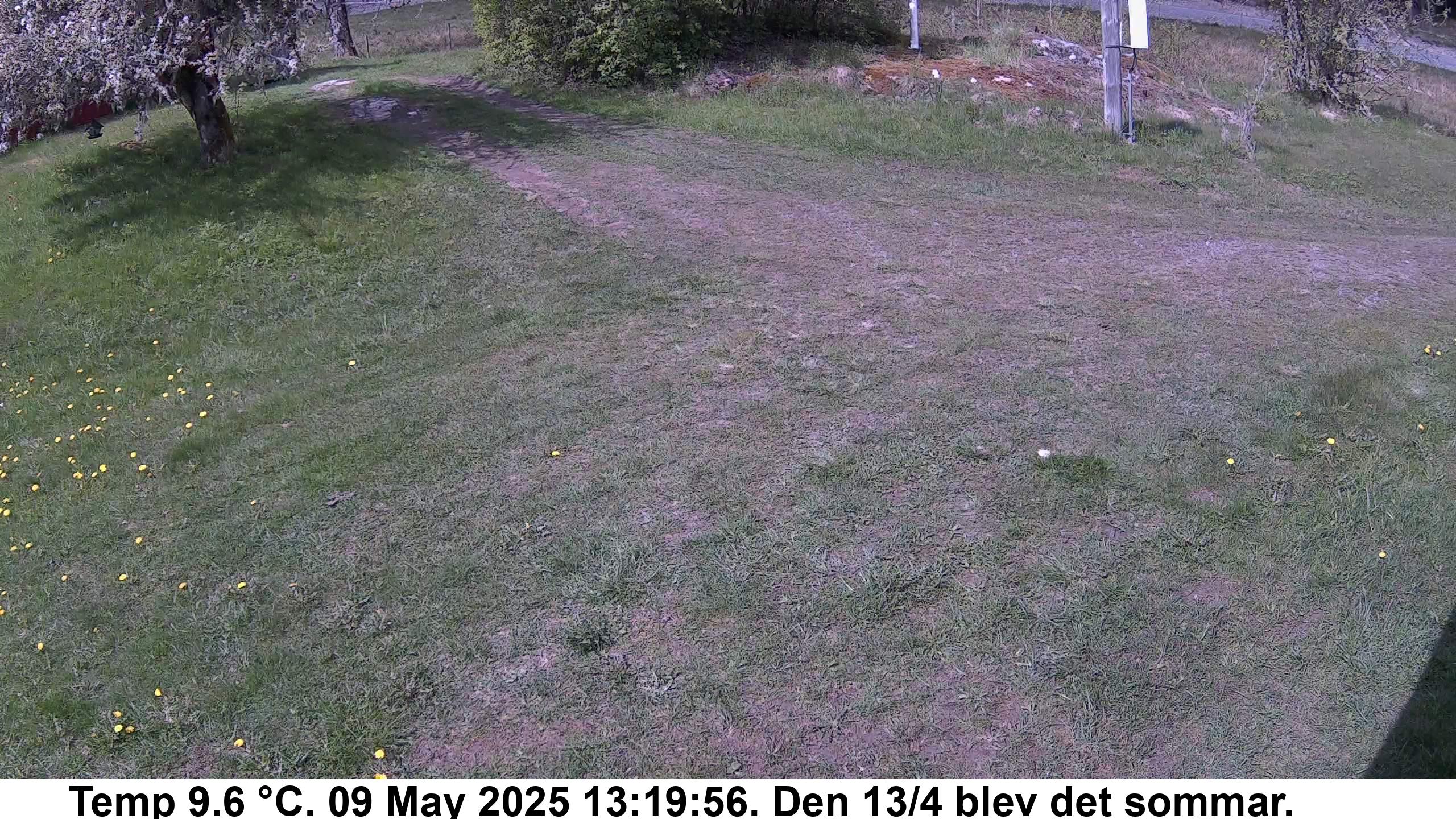Slide 537