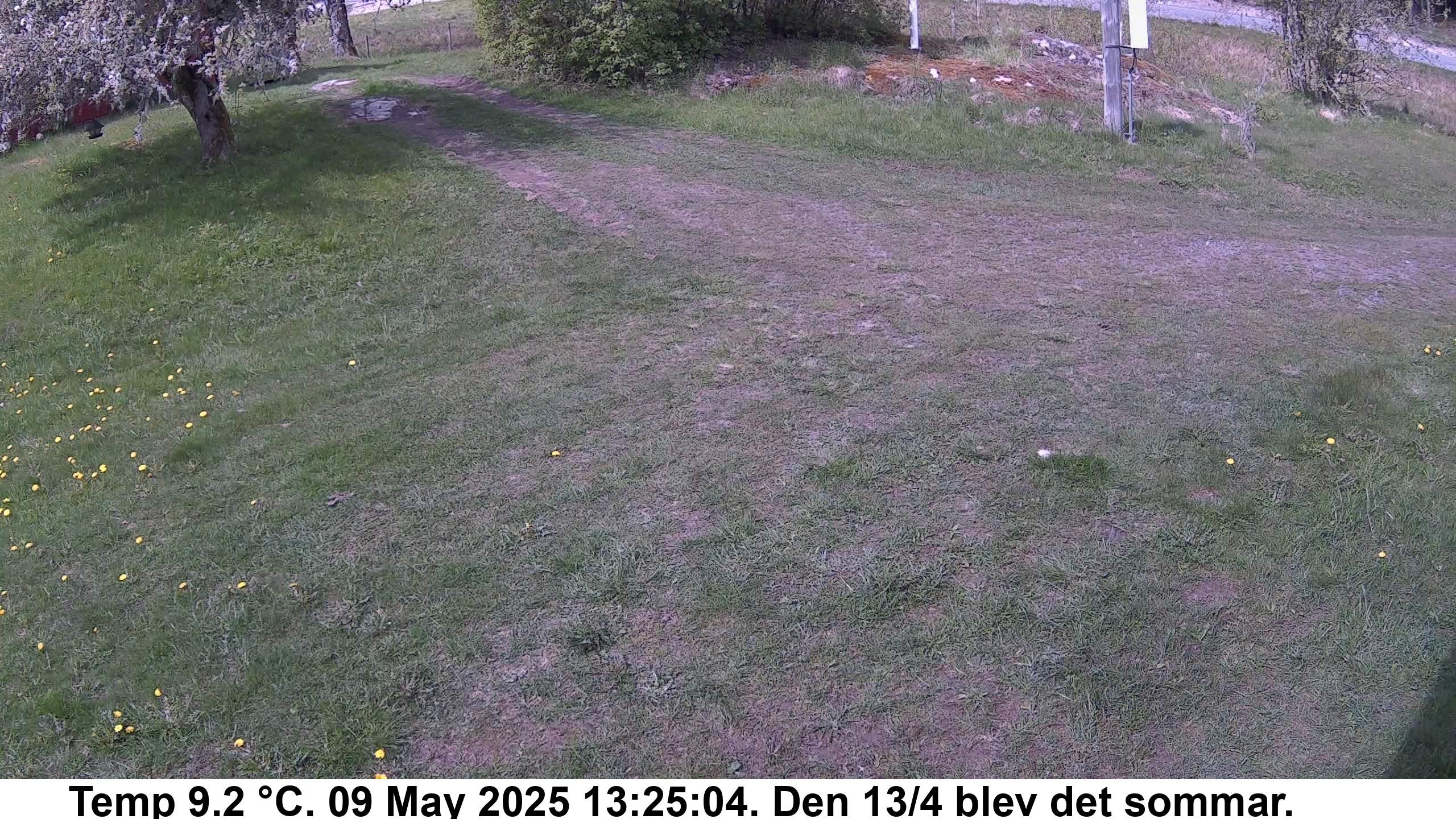Slide 540