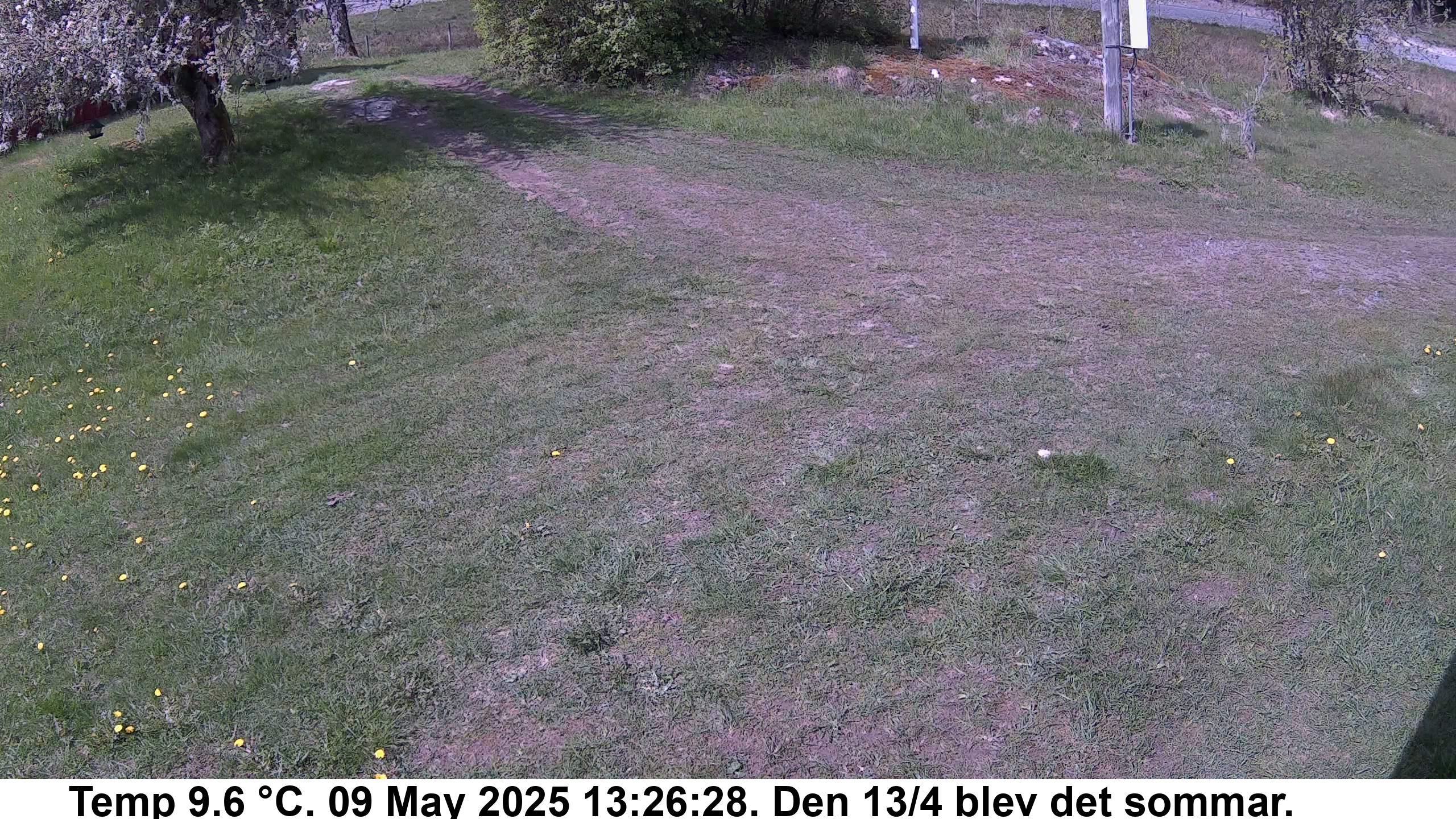 Slide 541