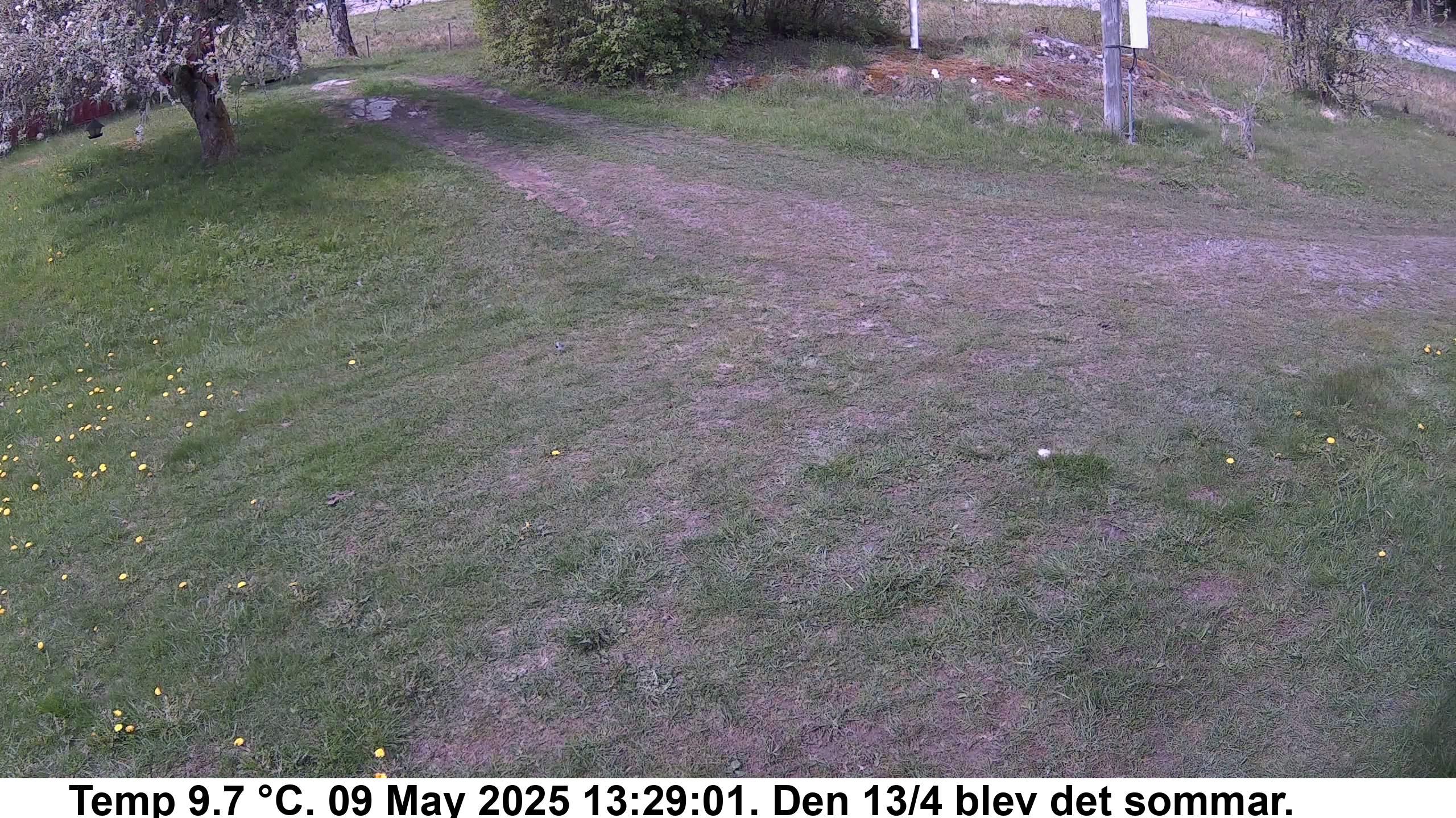 Slide 542