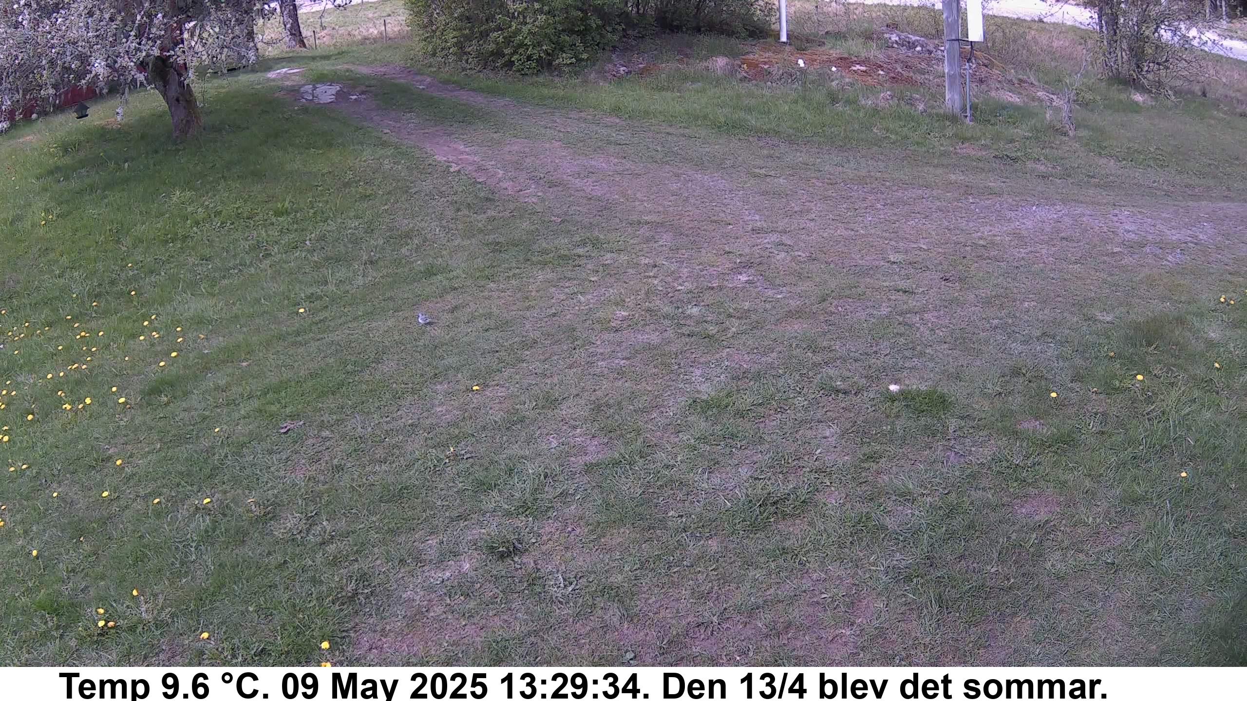 Slide 543