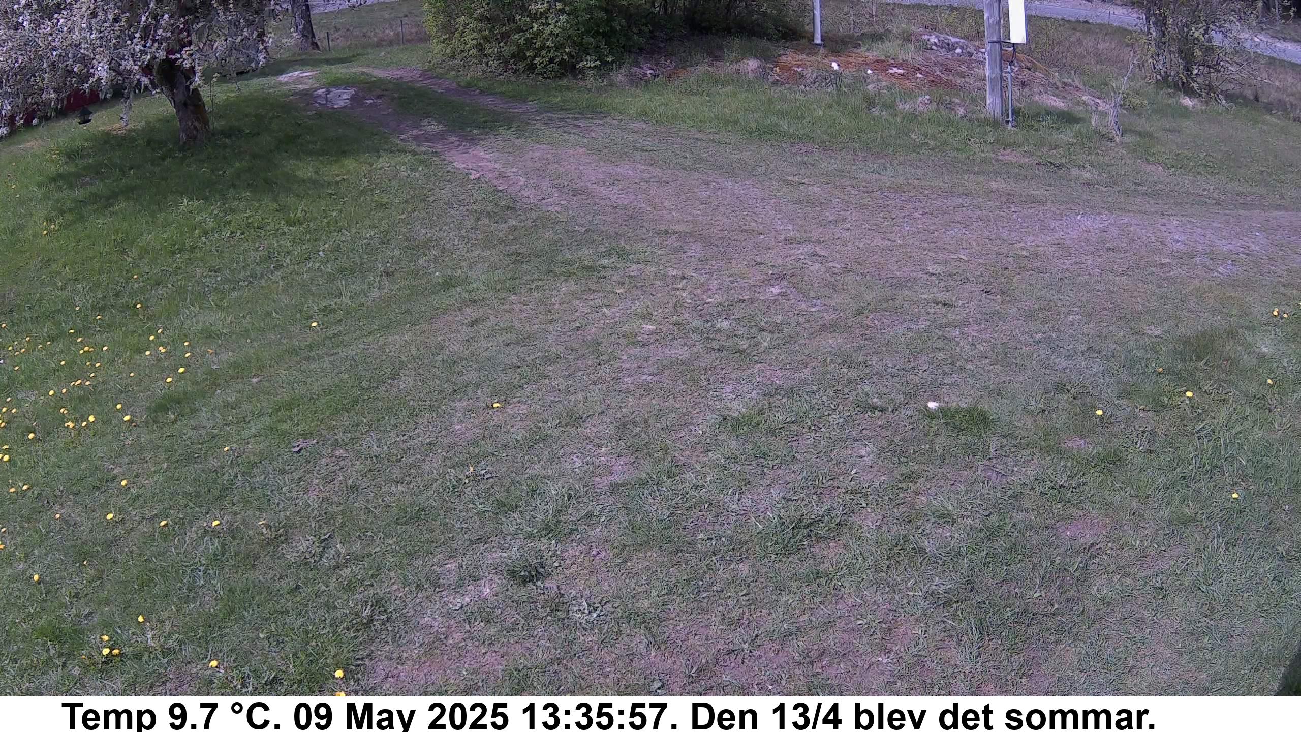 Slide 546