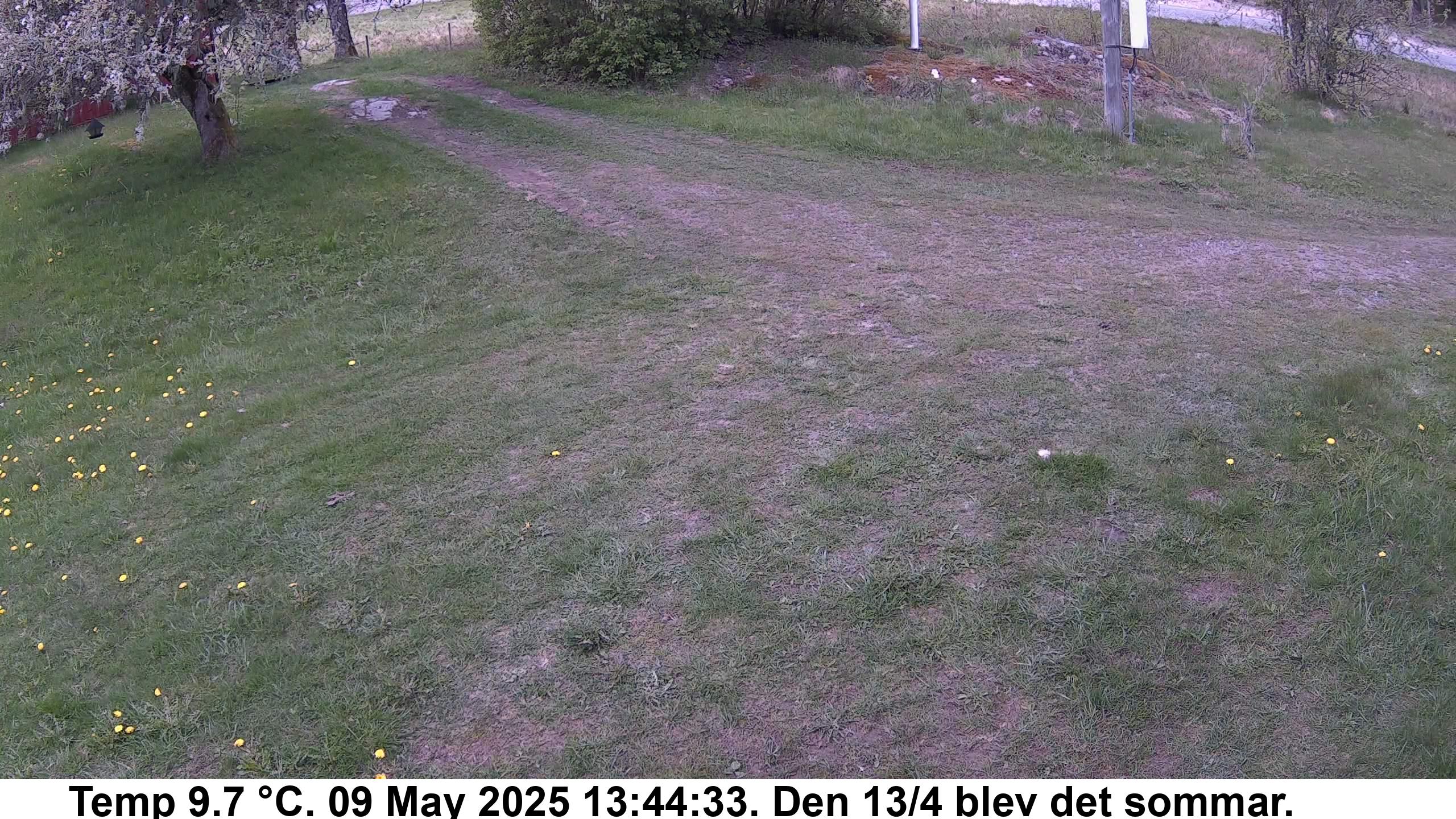 Slide 550