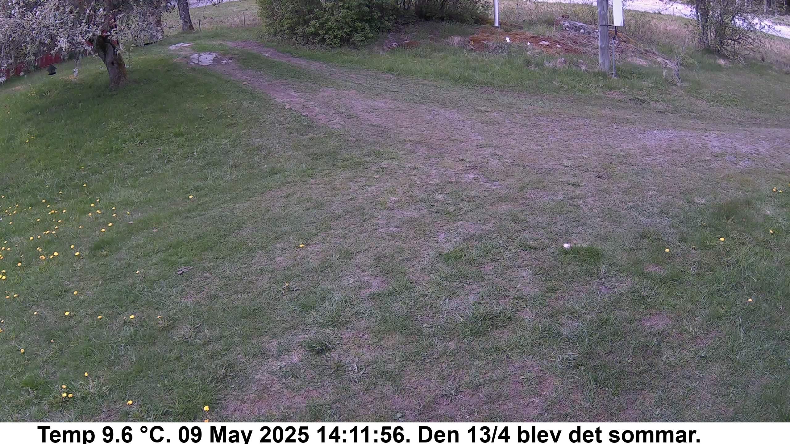 Slide 556