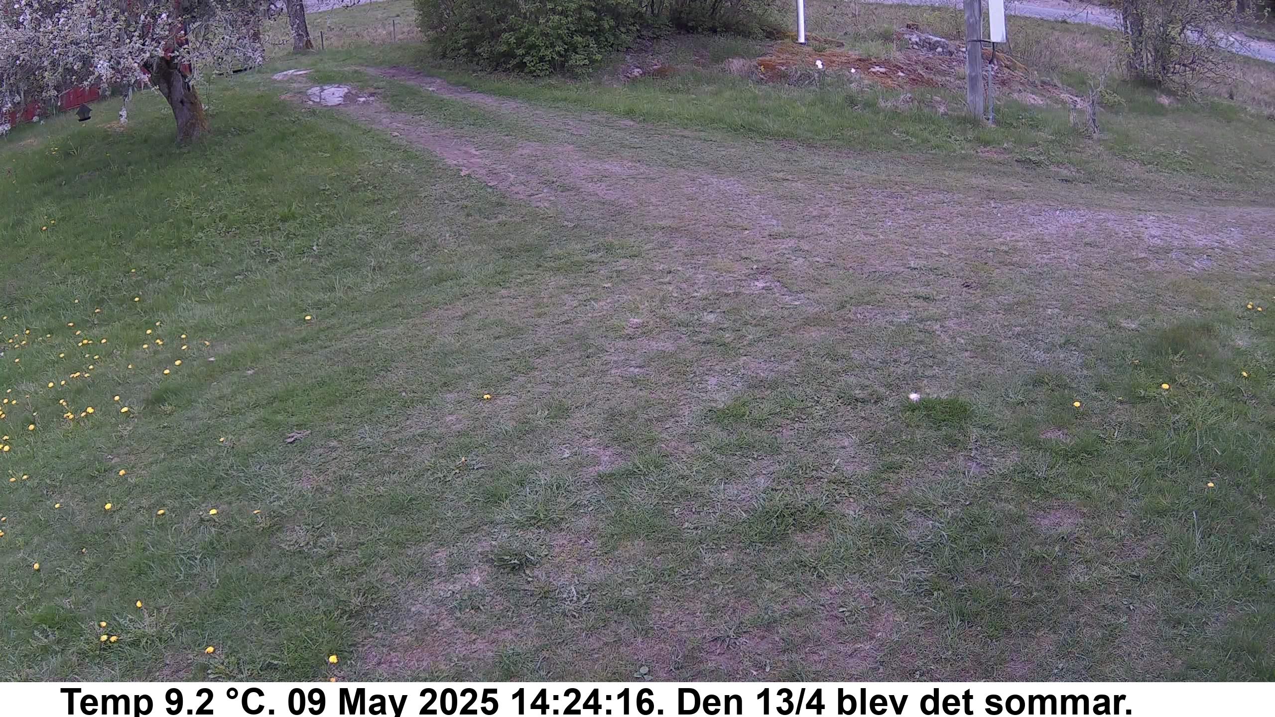 Slide 557